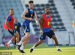 新柯隆官网中文版