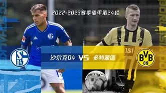 球盟会登录-勒沃库森赛程